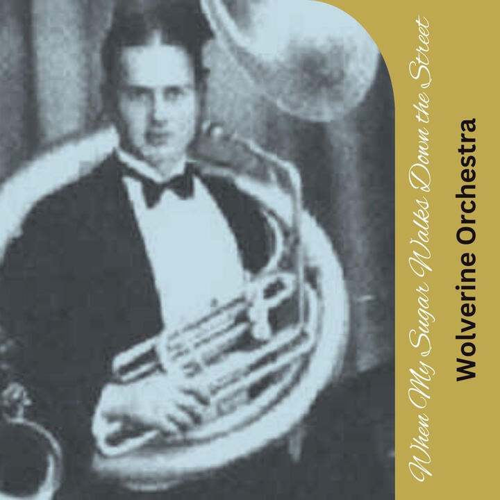 The Wolverine Orchestra