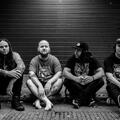 Violent Soho