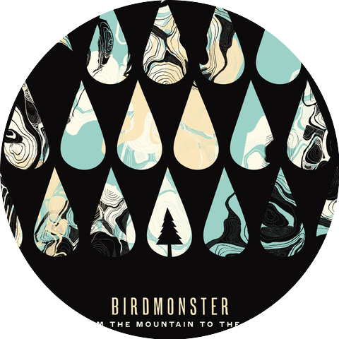 Birdmonster