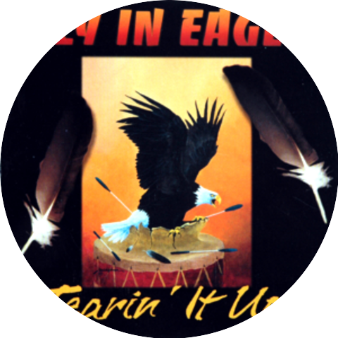 Fly In Eagle