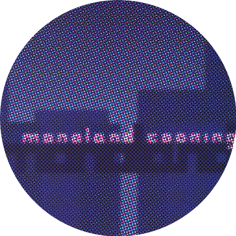 Monoland