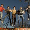 Voxtrot