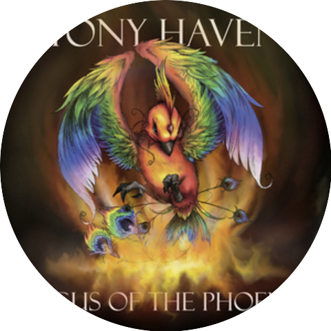 Tony Haven