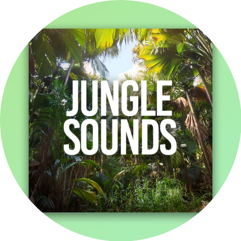 Relaxing Music