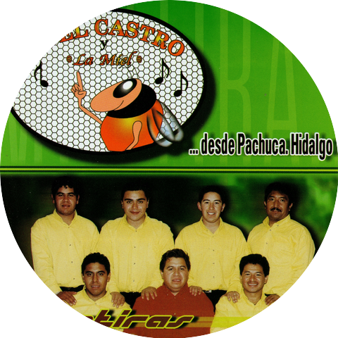 JOEL CASTRO Y LA MIEL