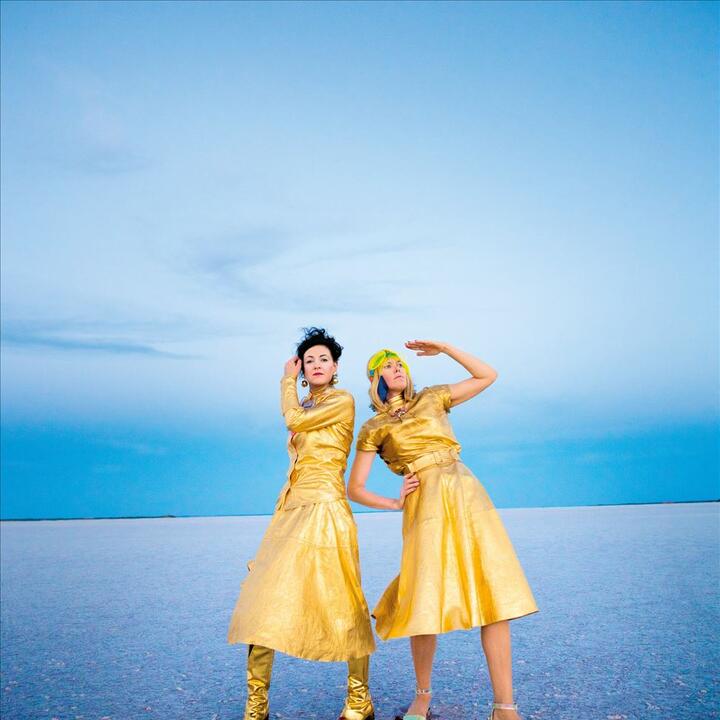 Chicks on Speed