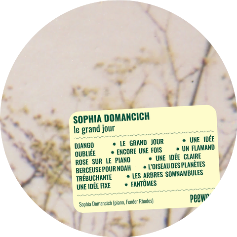 Sophia Domancich