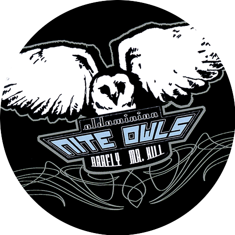 The Nite Owls