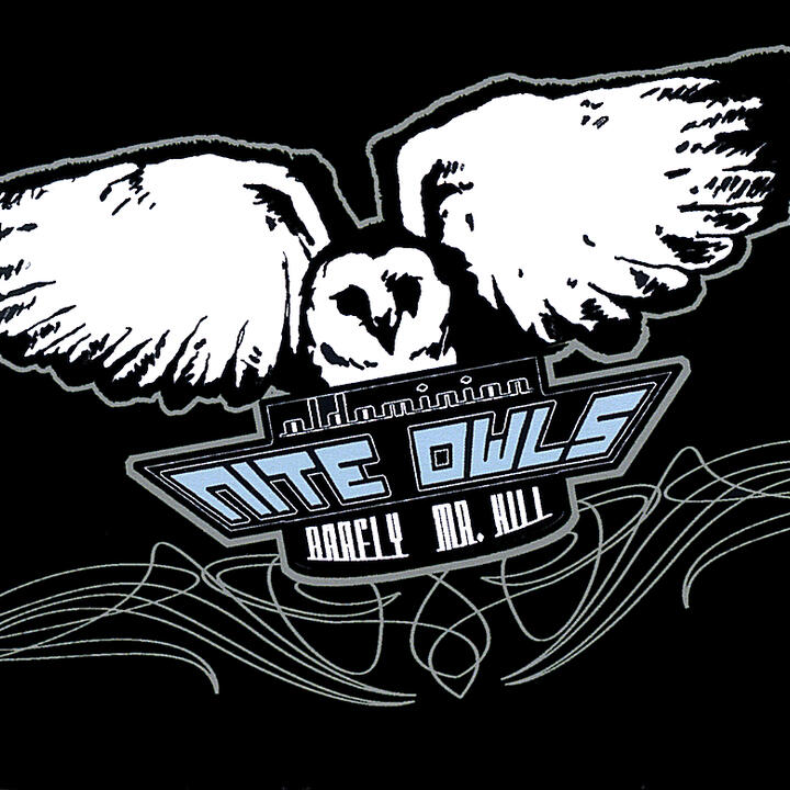 The Nite Owls