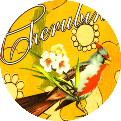 Cherubino