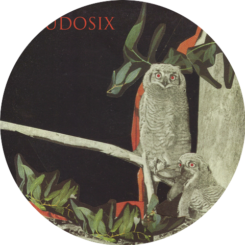 Pseudosix