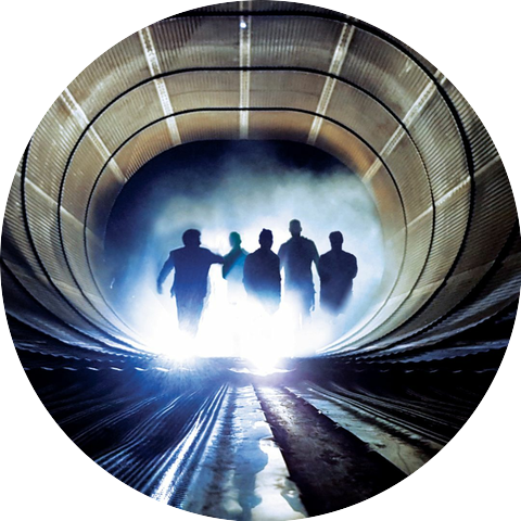 The Qemists