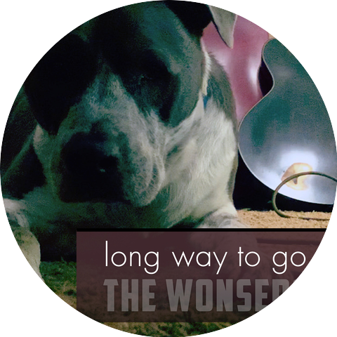 The Wonsers