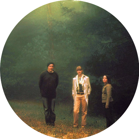 The Lickets