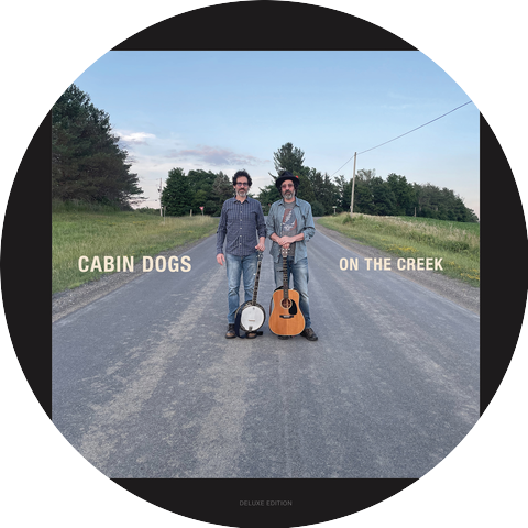 Cabin Dogs