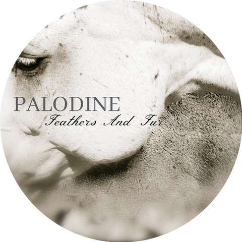Palodine