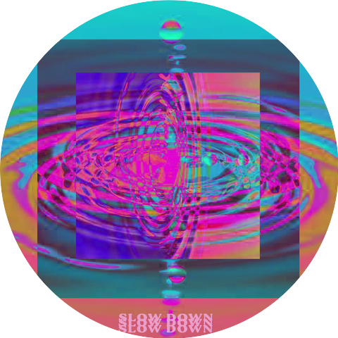 The Holograms