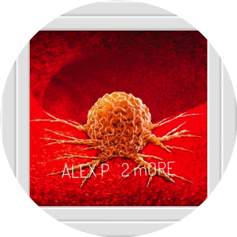 Alex P