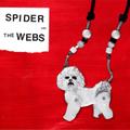 Spider and the Webs
