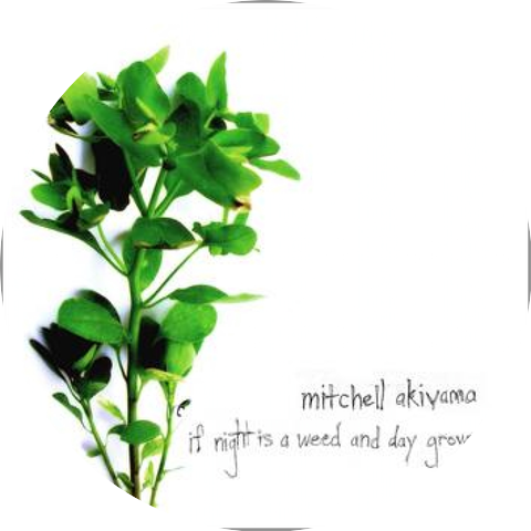 Mitchell Akiyama
