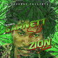 Garnett Silk