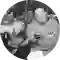 2 Live Crew (thumbnail)