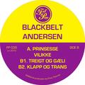 Blackbelt Andersen