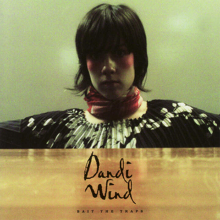 Dandi Wind