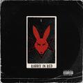 Rabbit In Red