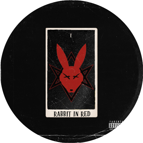 Rabbit In Red