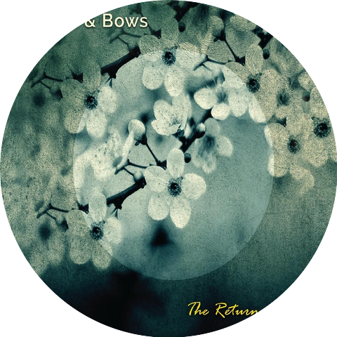 Buttons & Bows