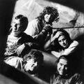 The White Animals