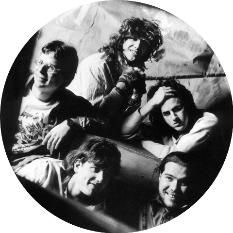 The White Animals