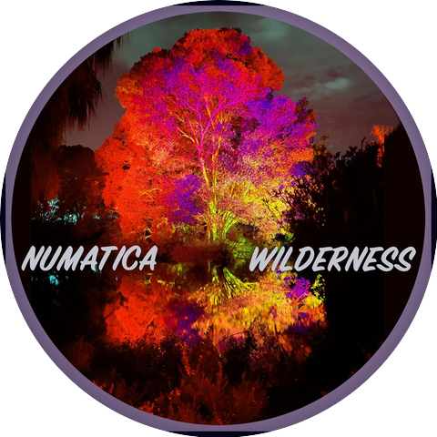 Numatica