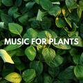 Nature Music