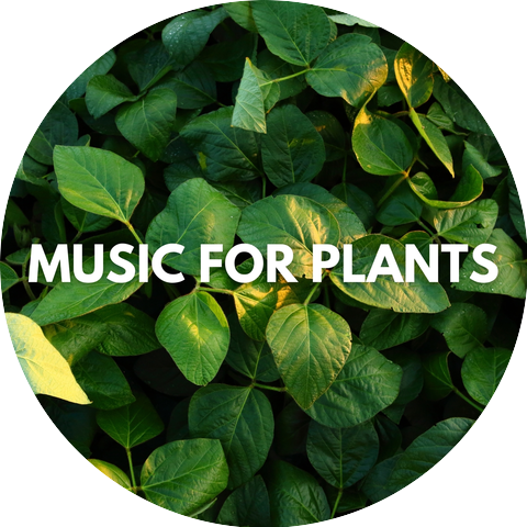 Nature Music