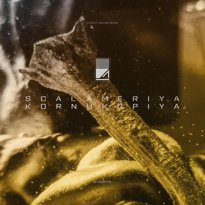 Scalameriya