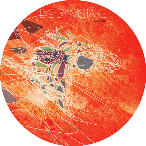 Lye by Mistake