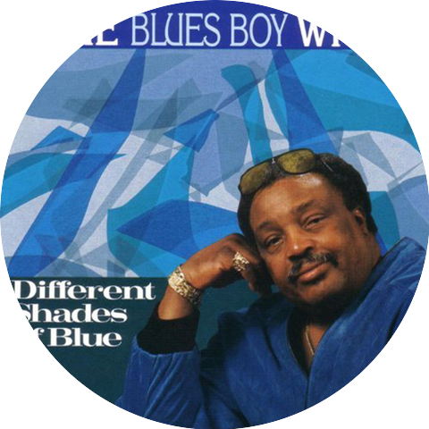 Artie "Blues Boy" White