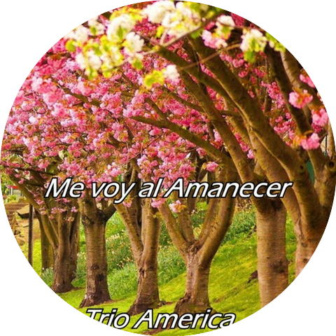 Trio America