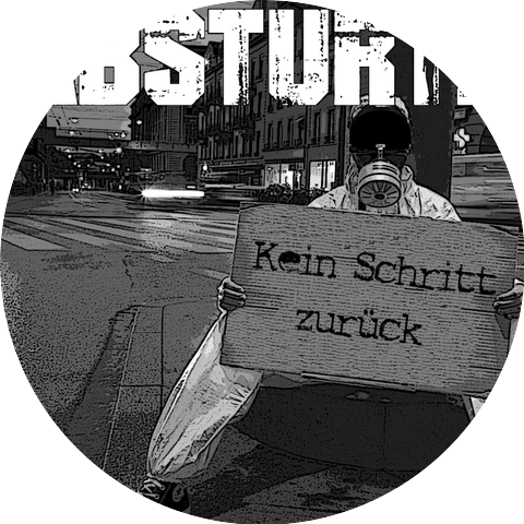 Absturtz