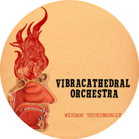 Vibracathedral Orchestra