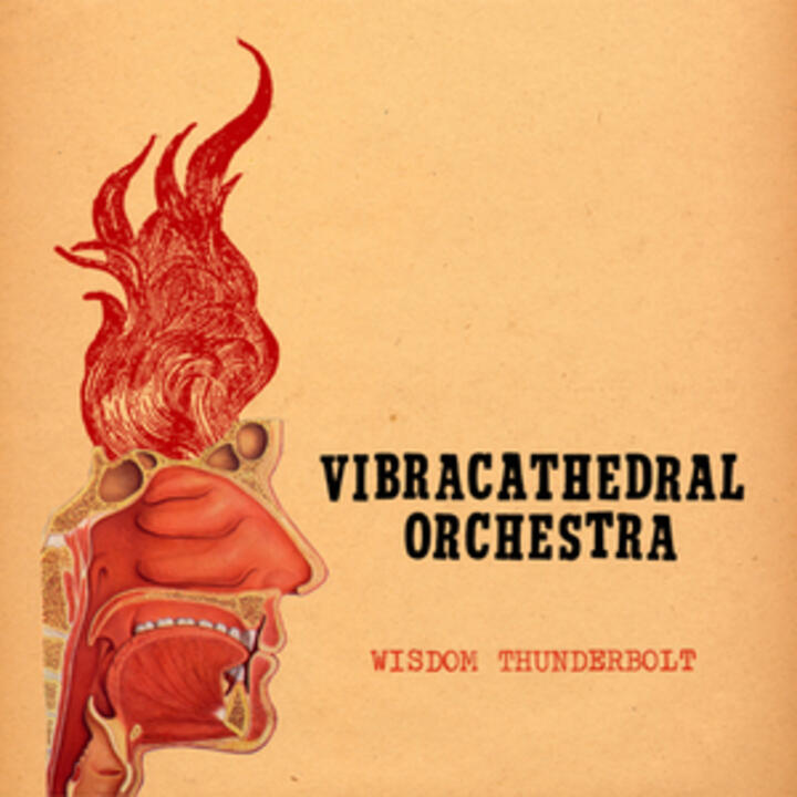 Vibracathedral Orchestra