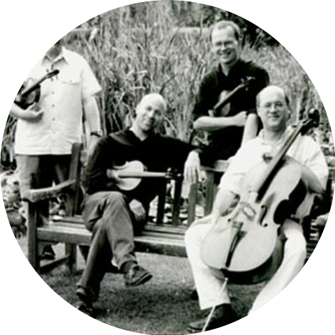 The Coull String Quartet