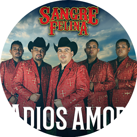 Sangre Felina