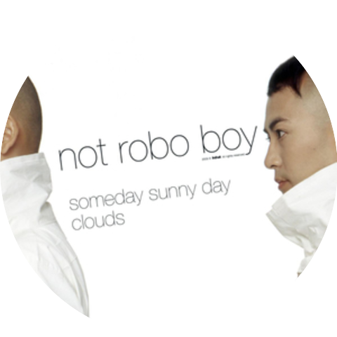 not robo boy