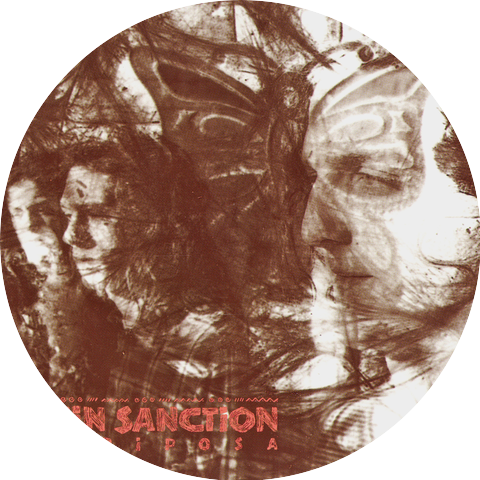 Rein Sanction