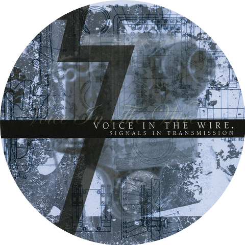Voice in the Wire