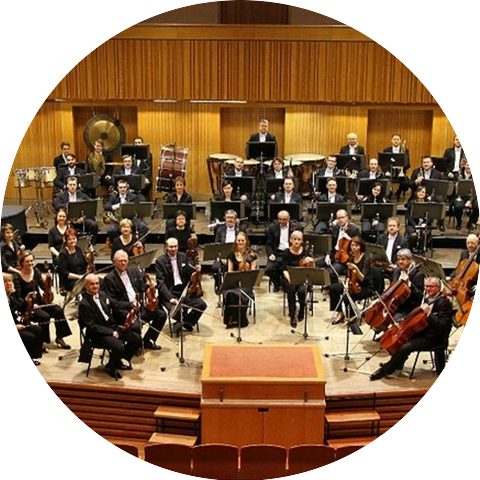 Moravian Philharmonic Orchestra