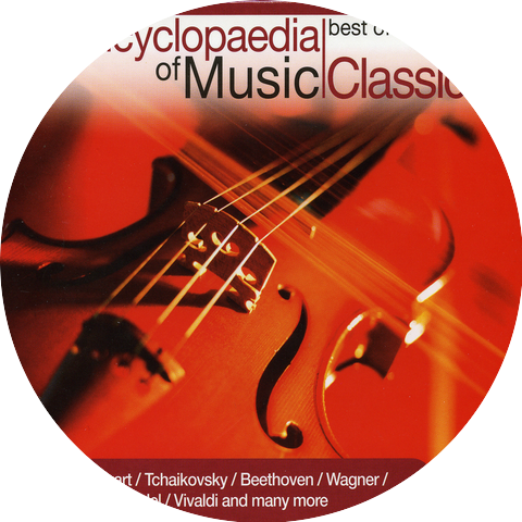 The Vienna Chamber Orchestra